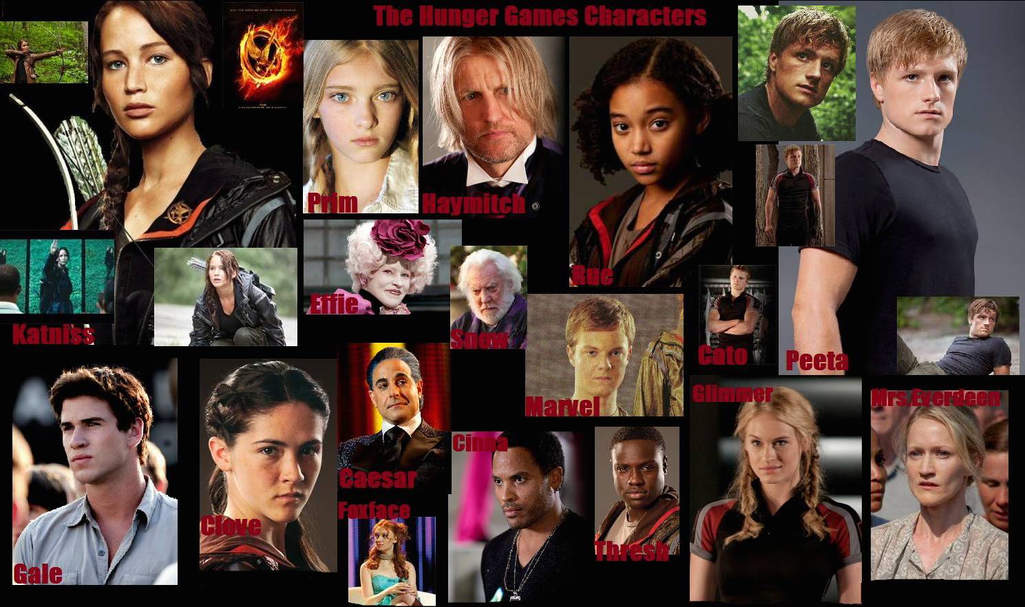 description of hunger games characters